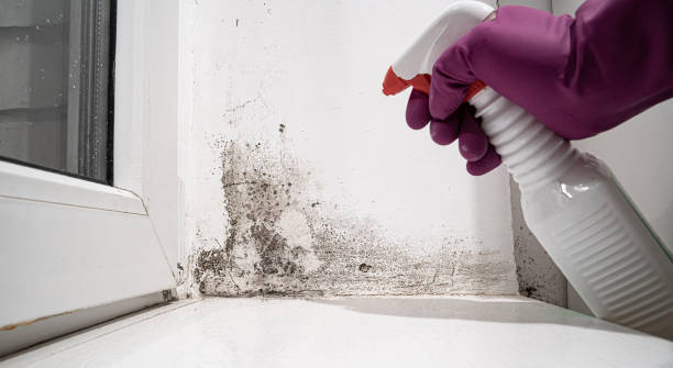 West Middlesex, PA Water damage restoration Company